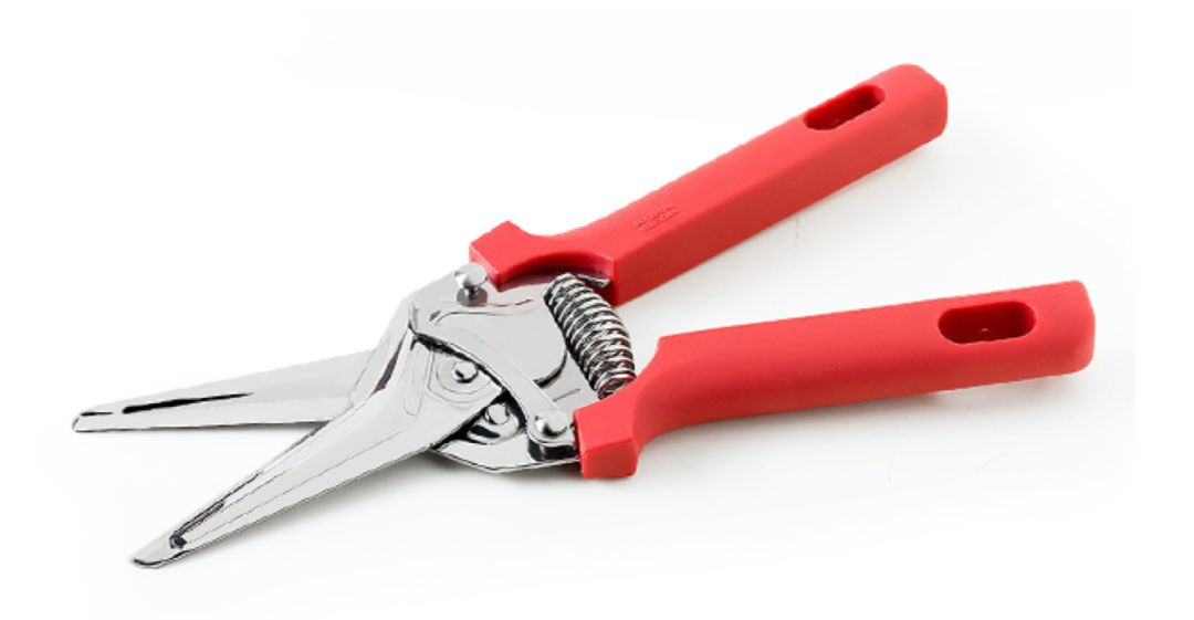 淘宝有哪些很有趣的东西可以买到,淘宝上有哪些好用又便宜的东西