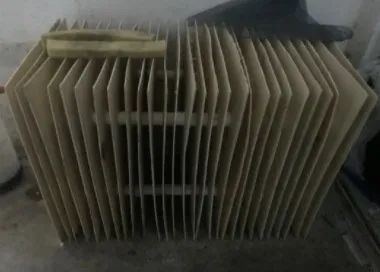 头皮发麻蟑螂竟当成宠物网上售卖,家里养了1万只蟑螂