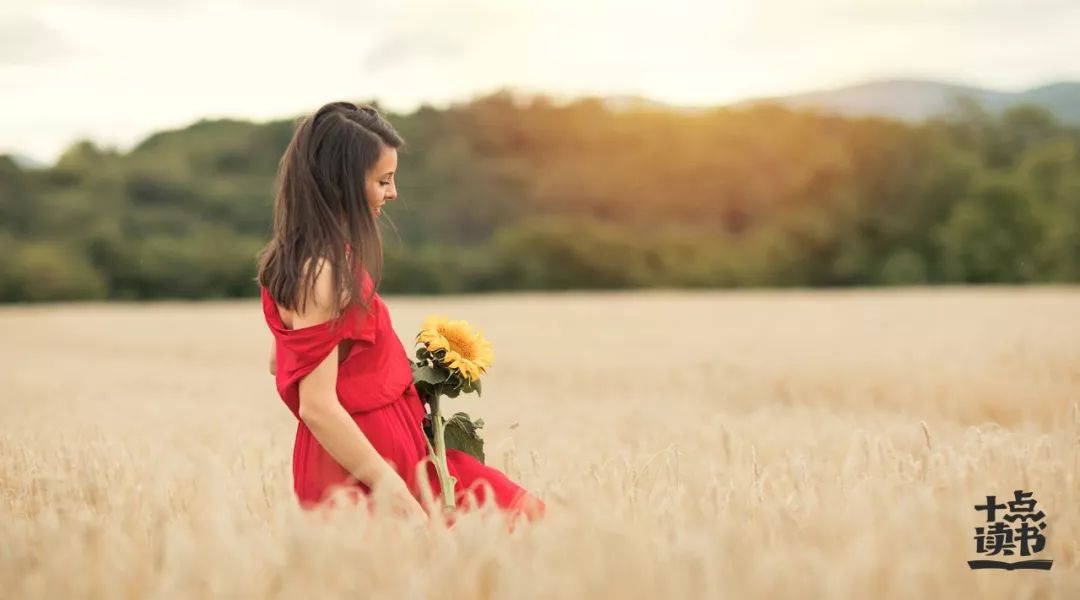 《巴别塔之犬》：什么才是婚姻最好的模样？