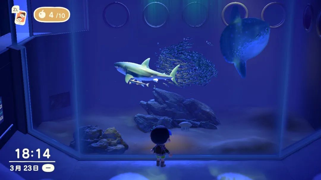 星期一不上班睡觉,每天排队上岛