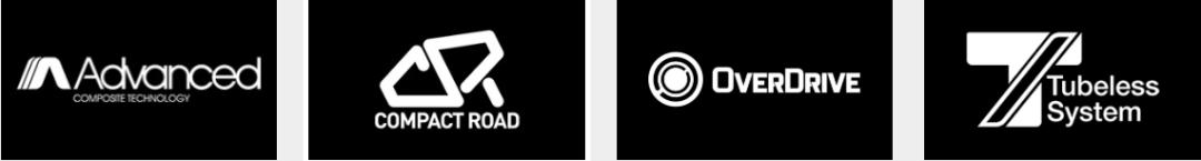 10款捷安特公路车,10款捷安特