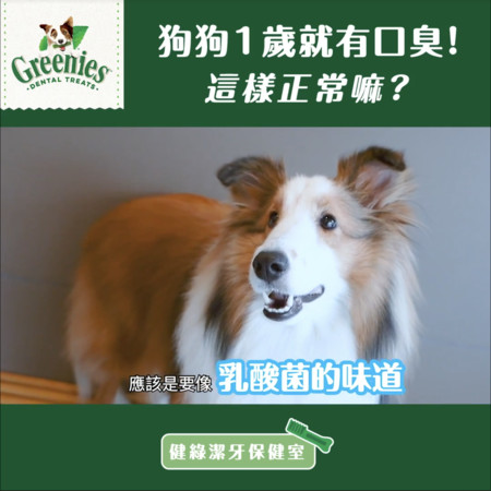 8岁狗狗牙周炎怎么办,狗狗好多牙结石怎么处理