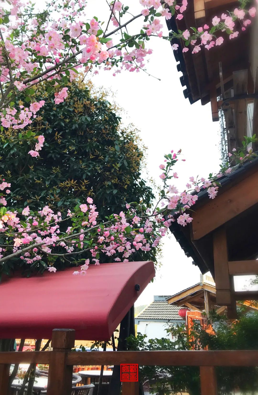 南京江宁网红打卡点有哪些,春日限定江宁新晋网红打卡点出炉