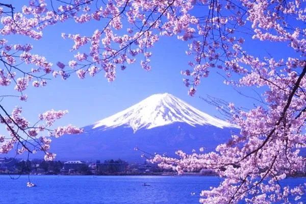 日本黑科技纳米洗衣球,日本洗衣球批发