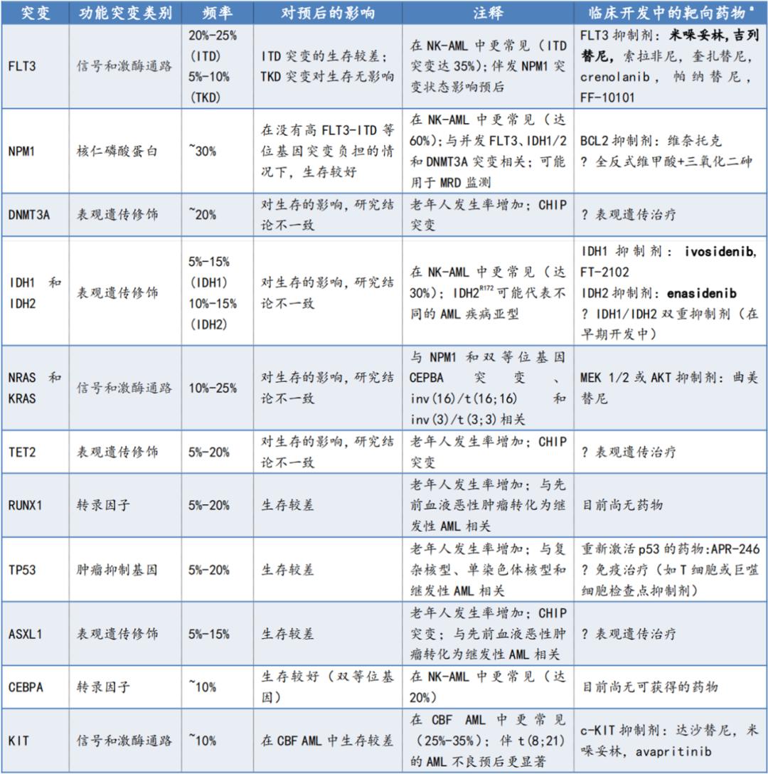 大咖评|王建祥教授:纵观AML治疗从传统化疗到个体化靶向治疗的变迁