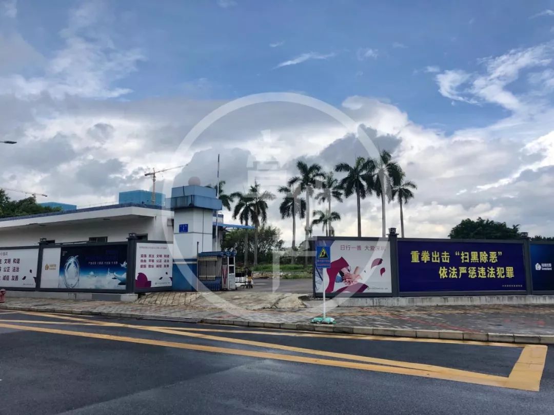 你敢买光明吗?7万泡沫有多大,未来能到多高?