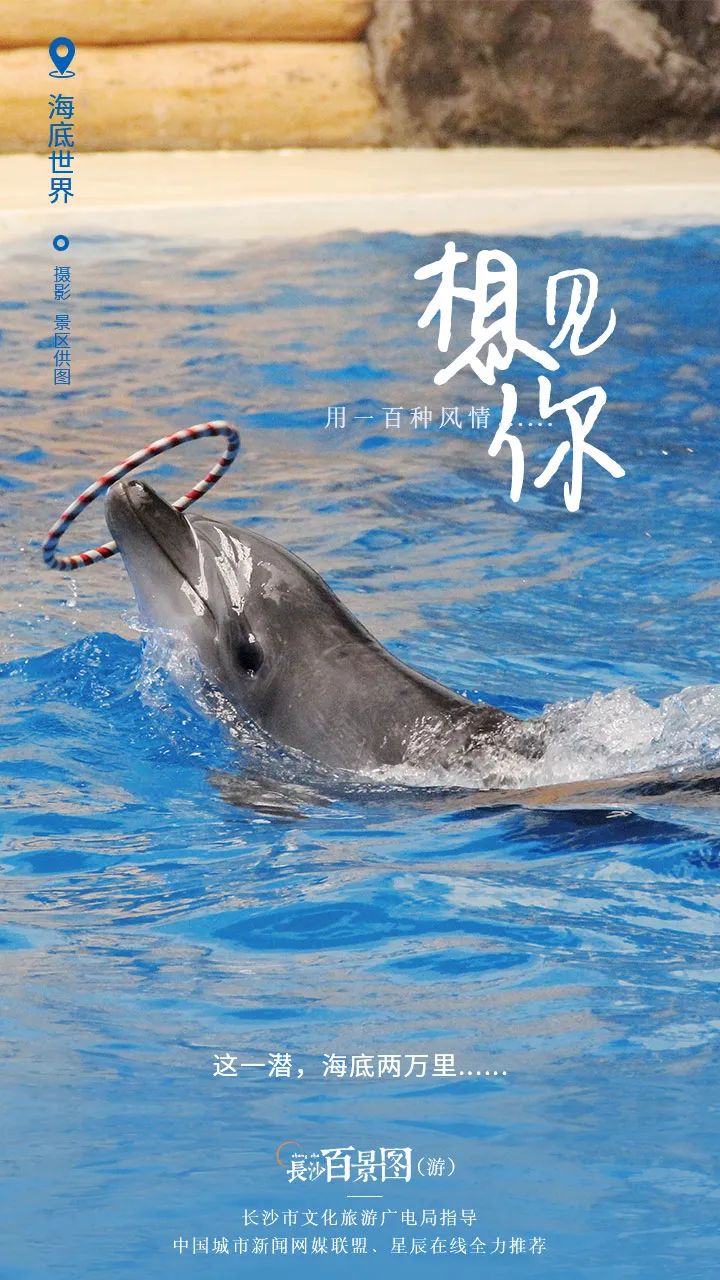 长沙各打卡地路线,长沙十条绝美路线