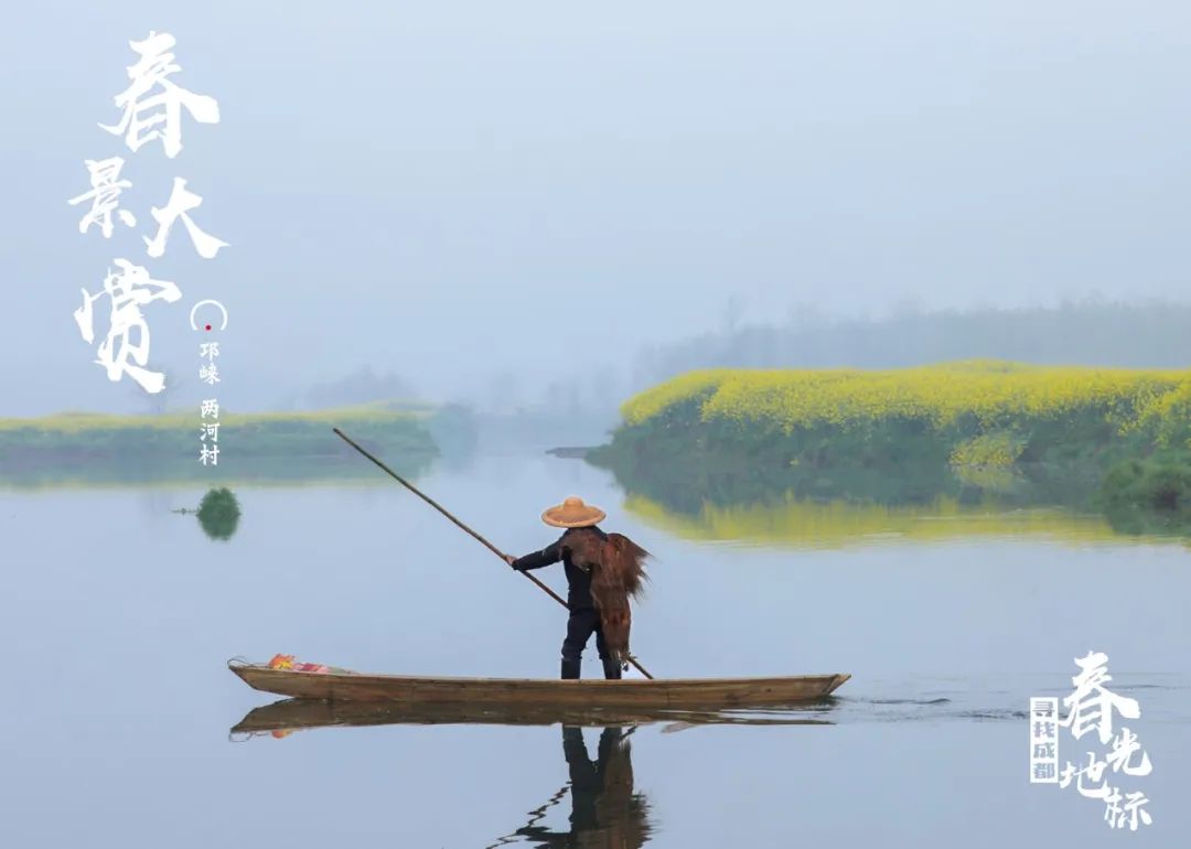 成都的春天都已经到来了,成都的春天是一个百花盛开的城市