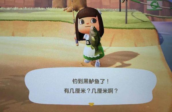 动森能钓黑鲈鱼吗,动森黑鲈鱼出现时间