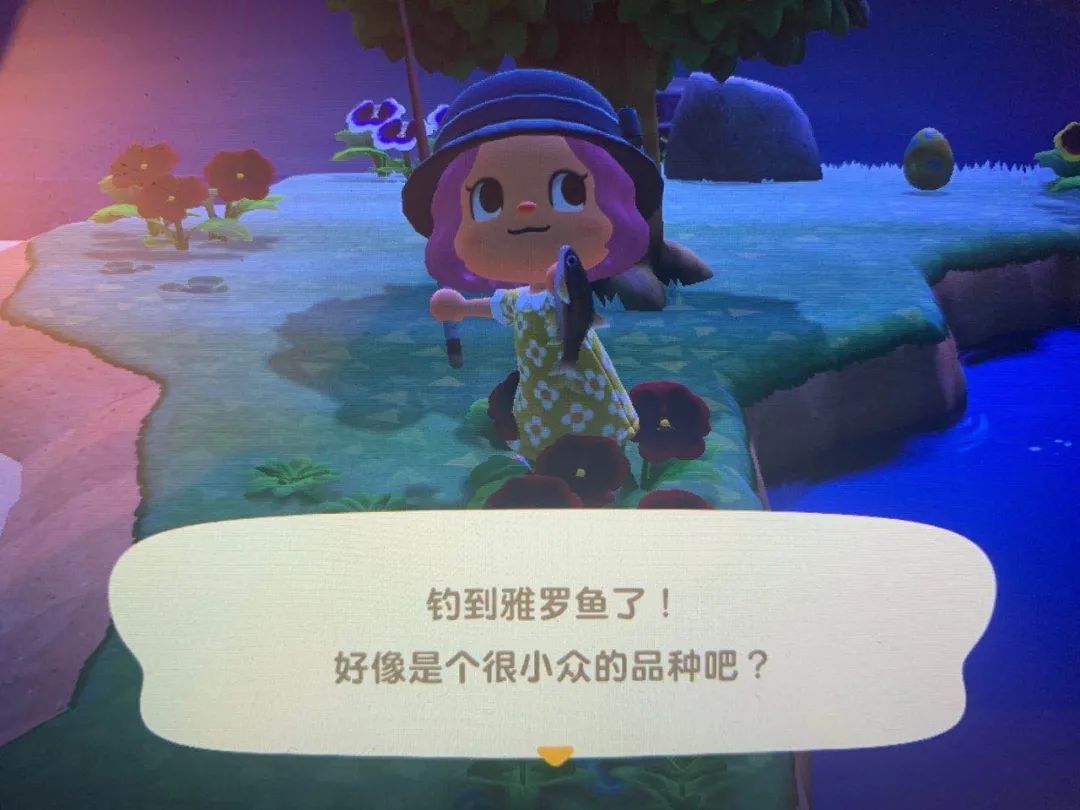 动森能钓黑鲈鱼吗,动森黑鲈鱼出现时间