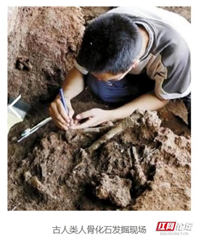 清明节祭祖踏青的传统习俗,说说大家当地清明节的特色跟风俗