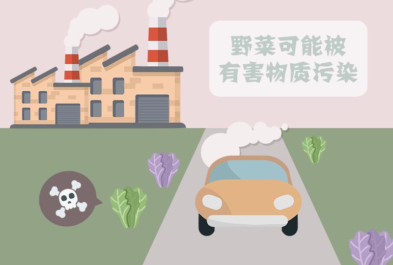 辟谣特工队|路边的野菜～不要采