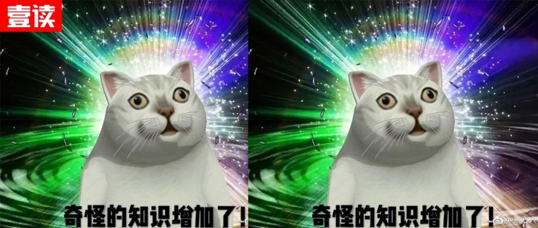 鲍毓和鲍明现实关系,鲍毓明为什么和养女谈恋爱