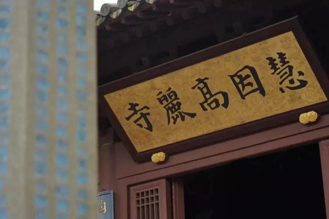 且听风吟看花开,且听风吟且看花开