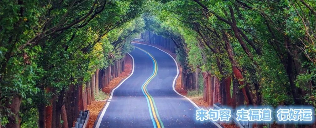 关于媒体报道我市琅琊大道旁山中存在废旧汽车拆解场的情况通报