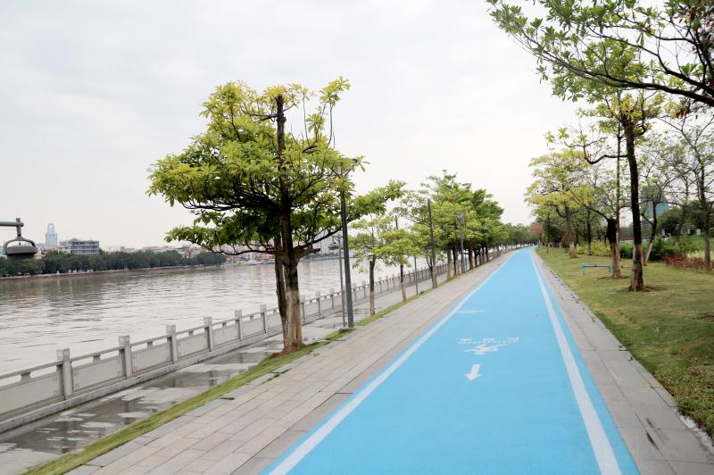 广州国际生物岛,广州国际生物岛最新消息