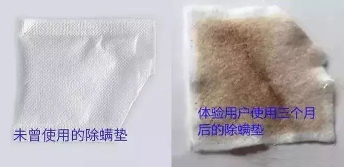 床上放个它，让螨虫绝望，让螨虫自杀，比太阳暴晒强1万倍