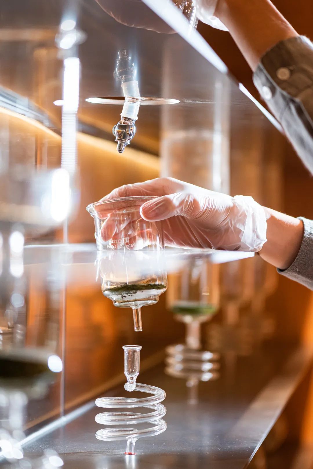 深圳奶茶多少钱一杯,深圳富豪茶餐厅