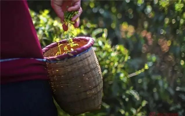 买它!谢谢你,为宣恩拼过单