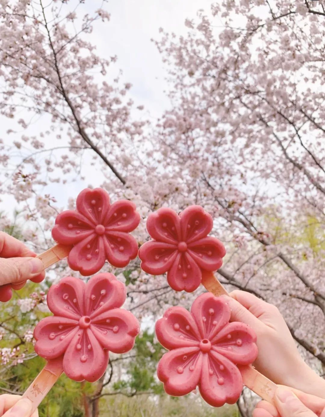 武汉终于解封！待到樱花再开时，相约这座英雄城市可好？