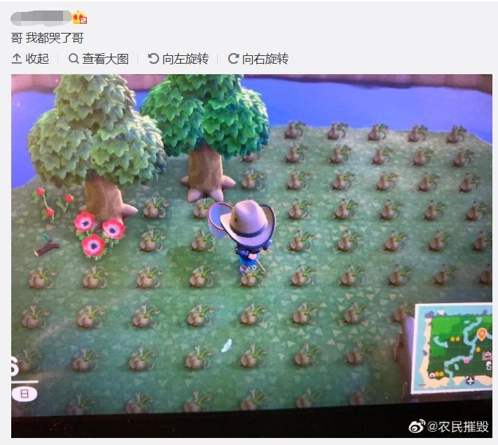 动森最赚钱的东西,动森发家致富