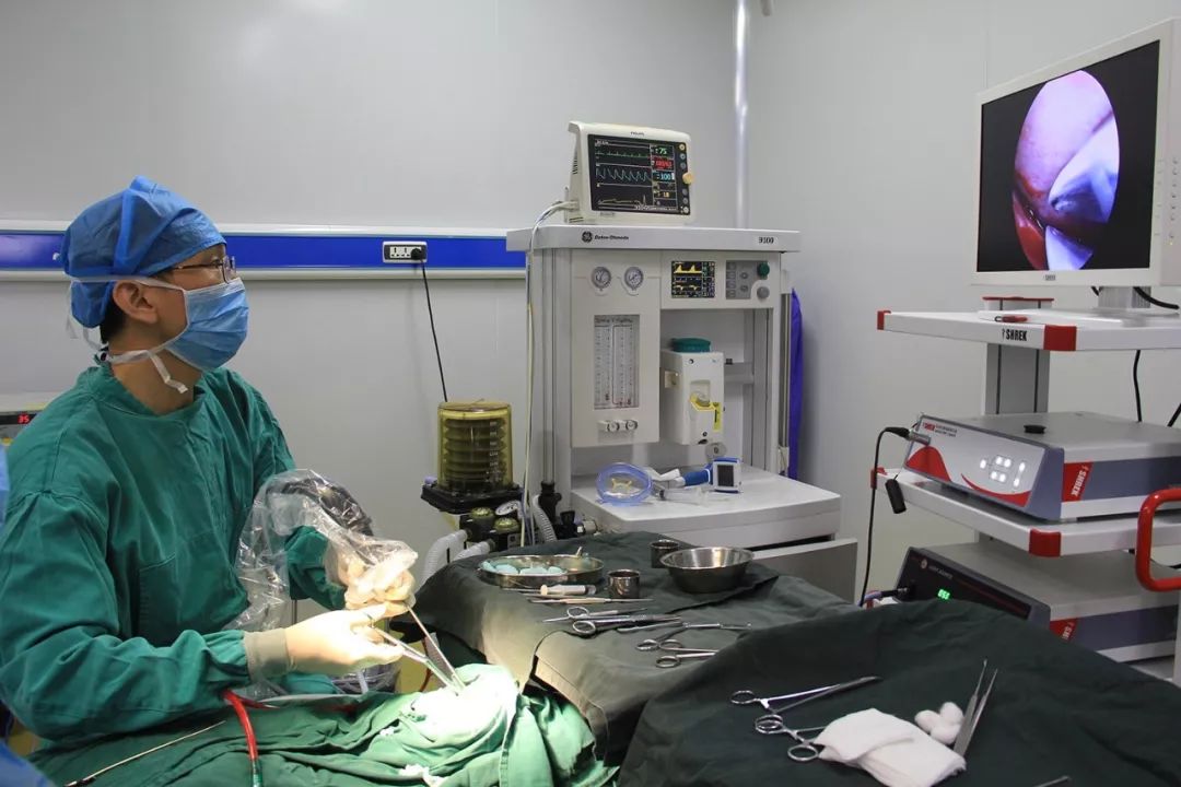 南昌五一开放时间,南昌五一假期最新消息