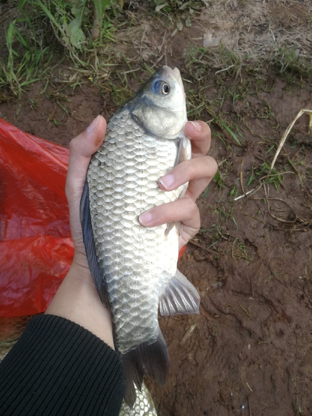 单枪匹马不如跟随大师脚步，爆桶小小过把瘾