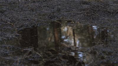 自动伞能抗几级大风,厉害雨伞