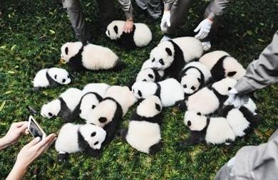 2019广东省高中招生 (广东2020夏季普通高校招生)