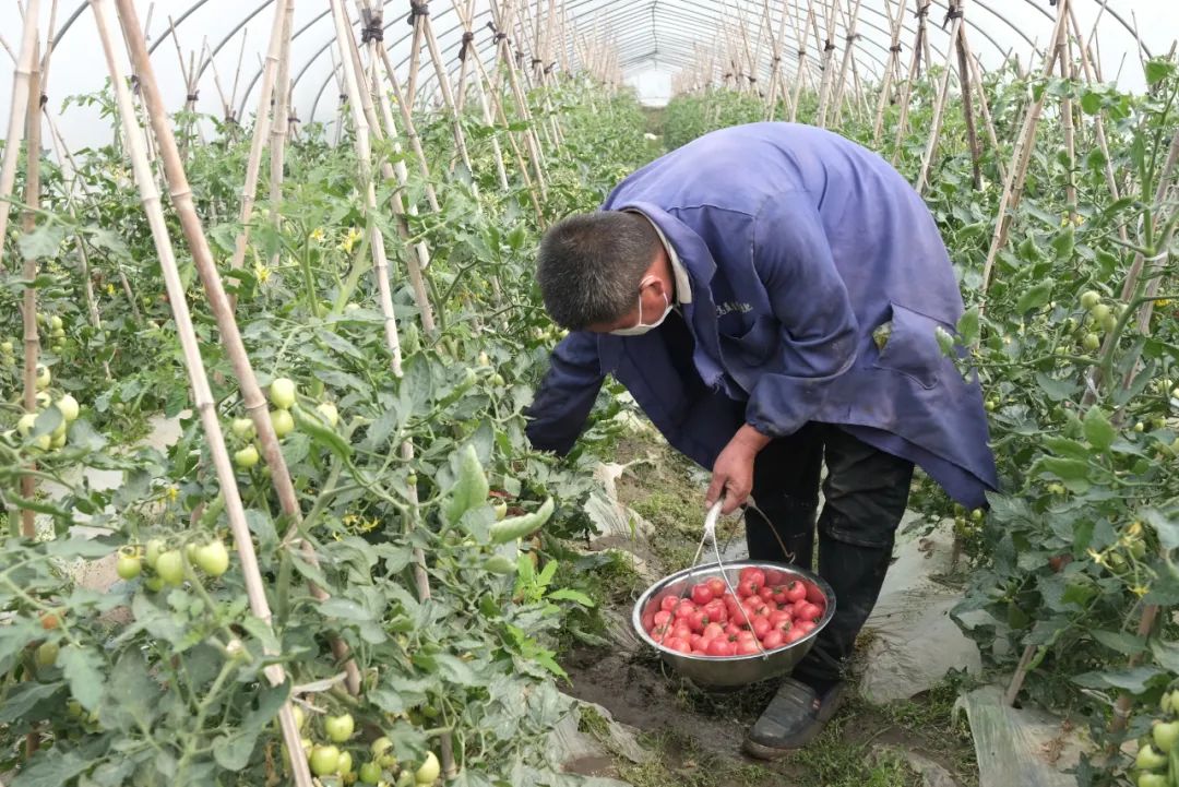 黄贝贝,粉串?这个村干部做“微商”卖的啥货?