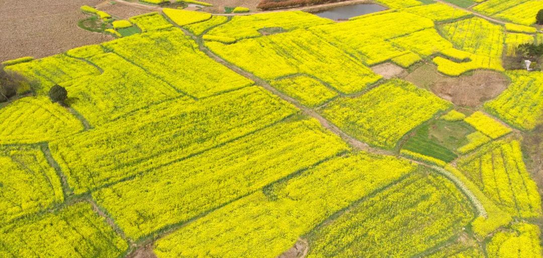 常州周末旅游景点推荐,常州最美乡村