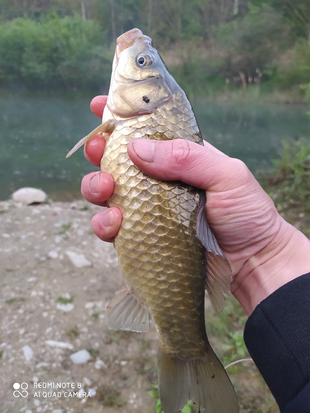 最简单的台钓线组制作教程,台钓怎么自己搞线组