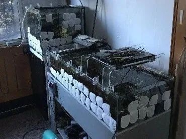 底滤海缸停电怎么办,海缸停电了怎么办