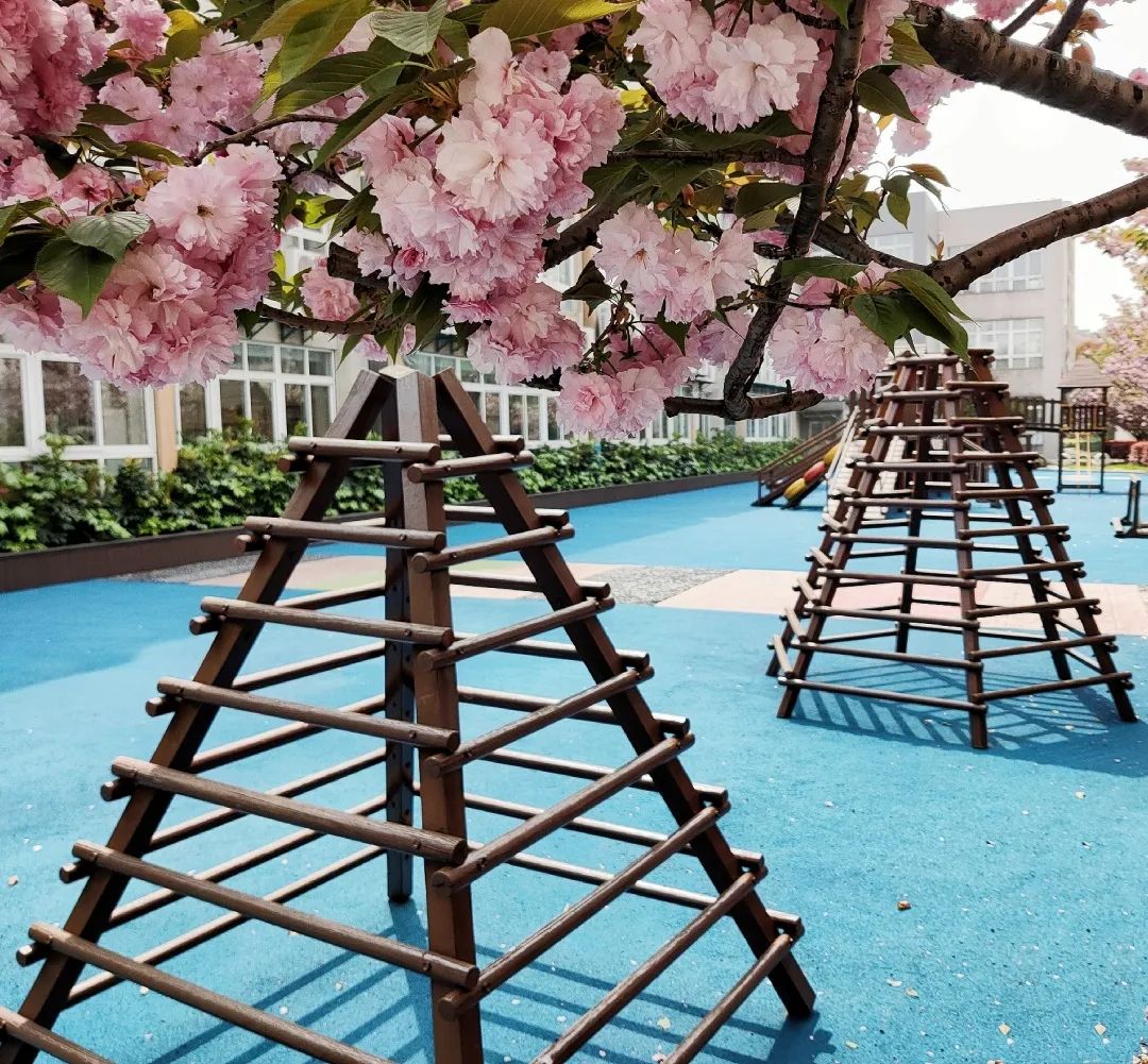 四月校园联谊,四月相聚