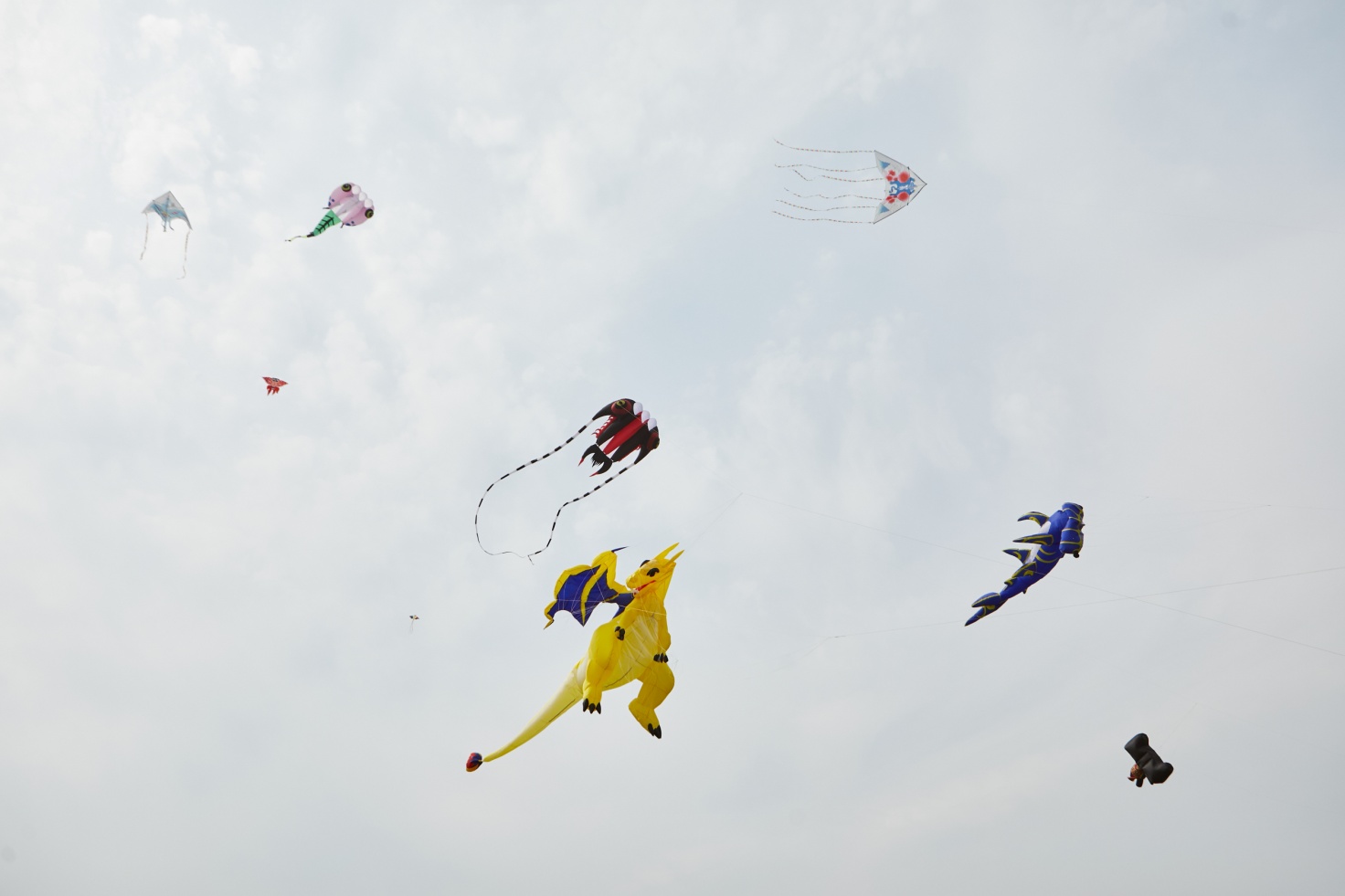 95后的“炎黄子孙精神”，敢玩敢不同