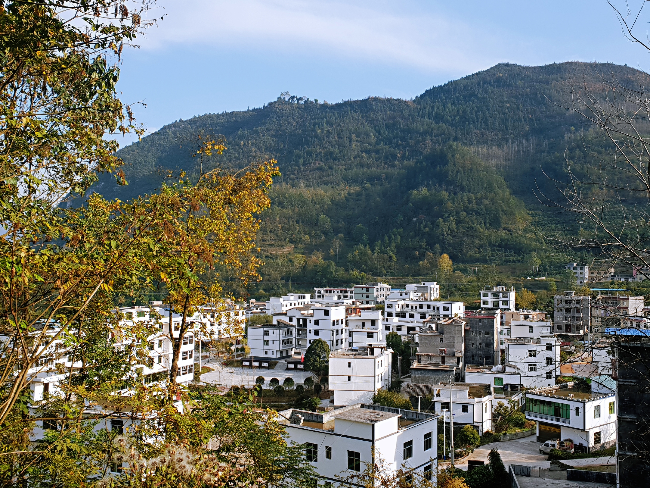 关注|黔江：*党**员“三亮”兴乡村