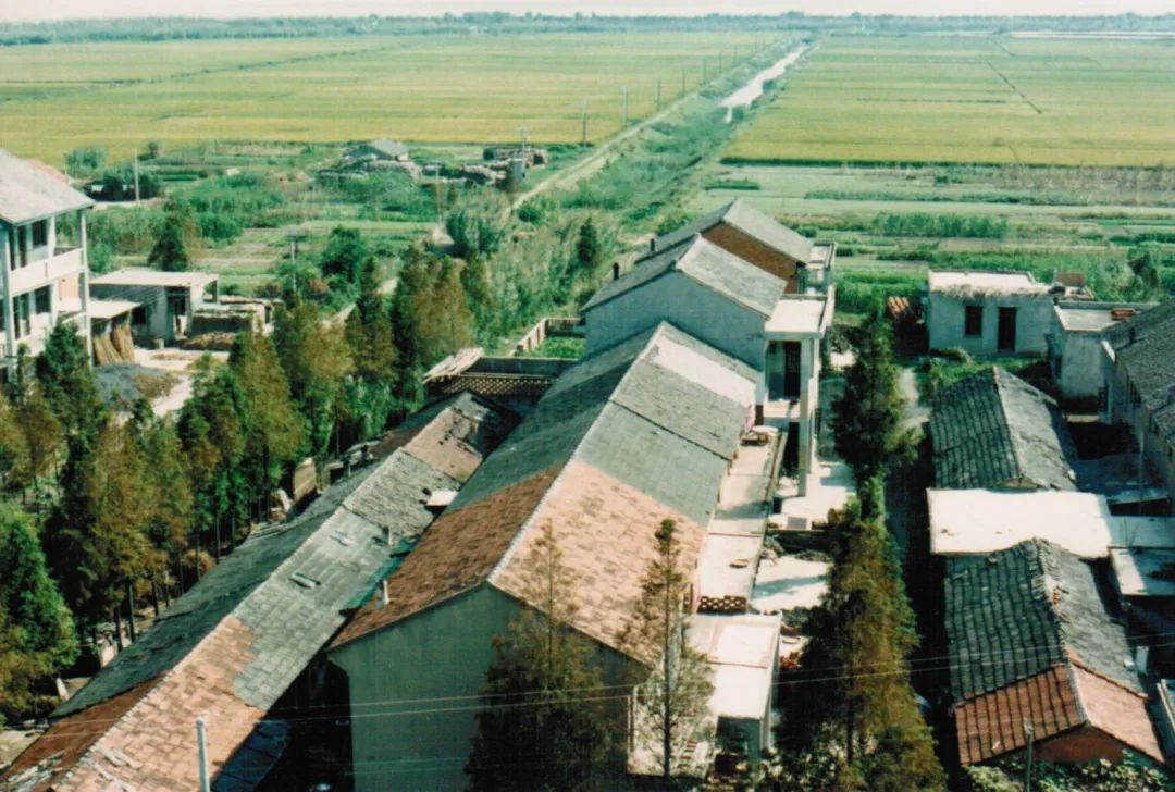 浦东新区曹路镇发展,曹路镇生活日记视频