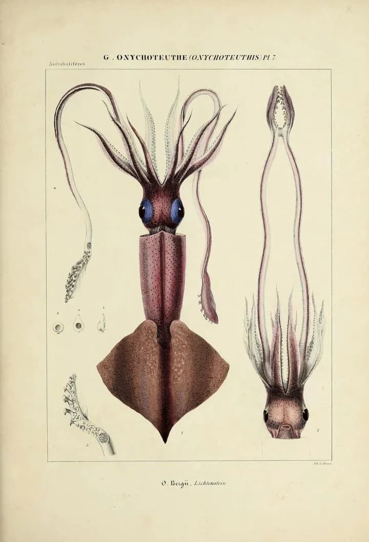 科技爱好者周刊102期,科技爱好者日报