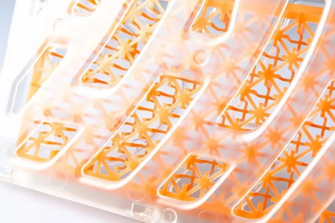 被疯抢的隐形蚊帐，随手一挂，蚊子全无