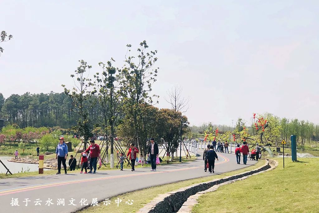 踏青江宁,南京江宁踏青赏花好去处