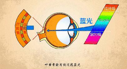 日本眼疲劳干涩护眼液,日本眼科蓝光过滤器