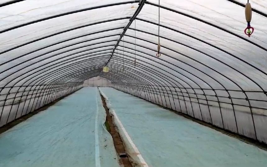 黑龙江冷空气灾害,黑龙江即将迎来寒潮