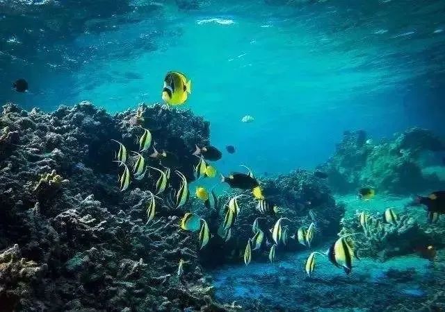 惠州机场直达航线,惠州机场2023航线