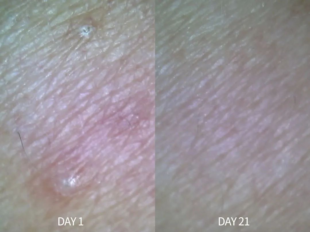 21天全测评,21天真实测评