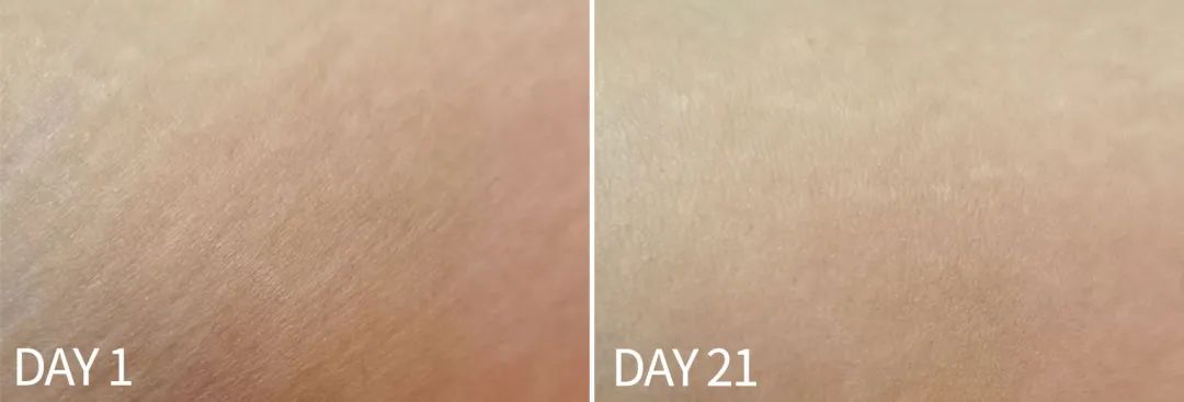 21天全测评,21天真实测评