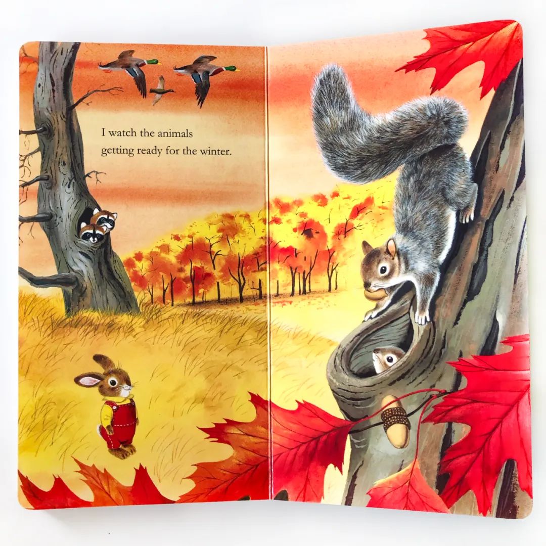 0-6个月宝宝必读书,6-12个月宝宝书籍推荐