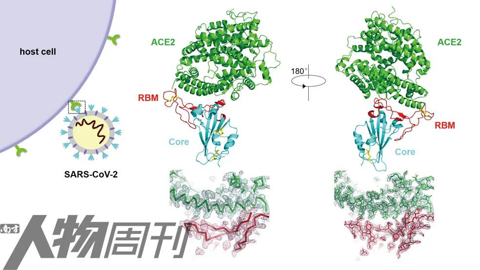 疫苗的来袭 (疫苗进度赛跑)