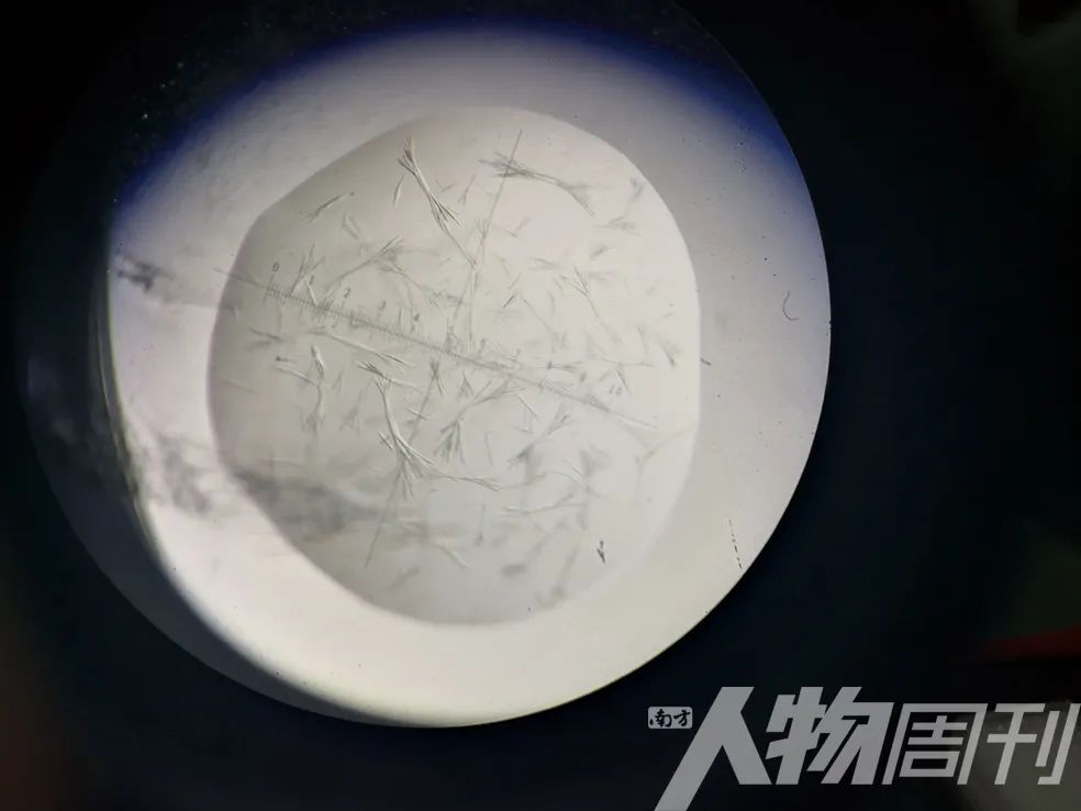 疫苗的来袭 (疫苗进度赛跑)