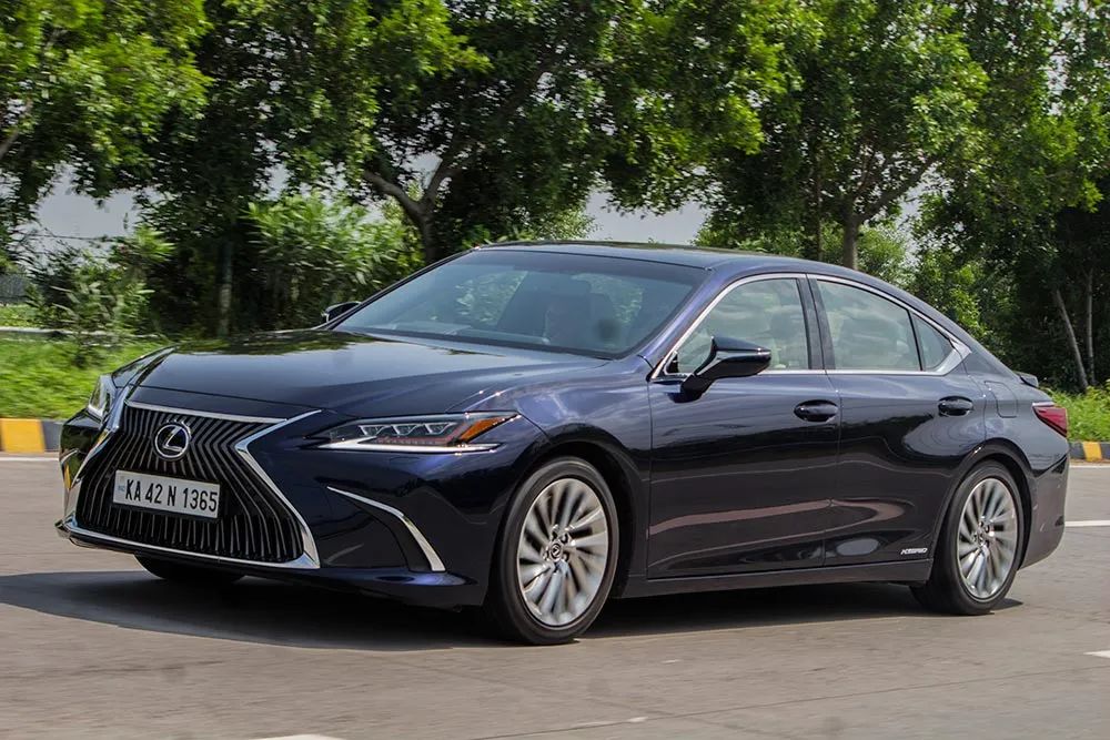 放心，模型不加价，ES模型测评