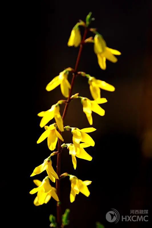 重要通知！25日起全市高速公路道口恢复“落杆”状态，测试期间免费通行